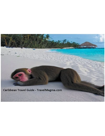 Caribbean Travel Guide