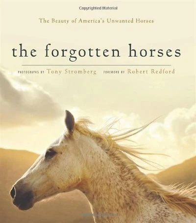 Forgotten Horses: Discovering The Beauty Of North America's Abandoned Equines