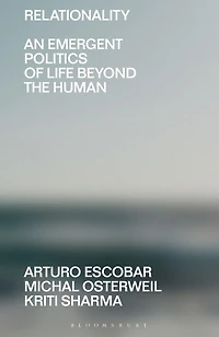 Relationality: An Emergent Politics of Life Beyond the Human