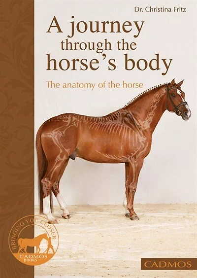 A Journey Through the Horse's Body: The Anatomy of the Horse
