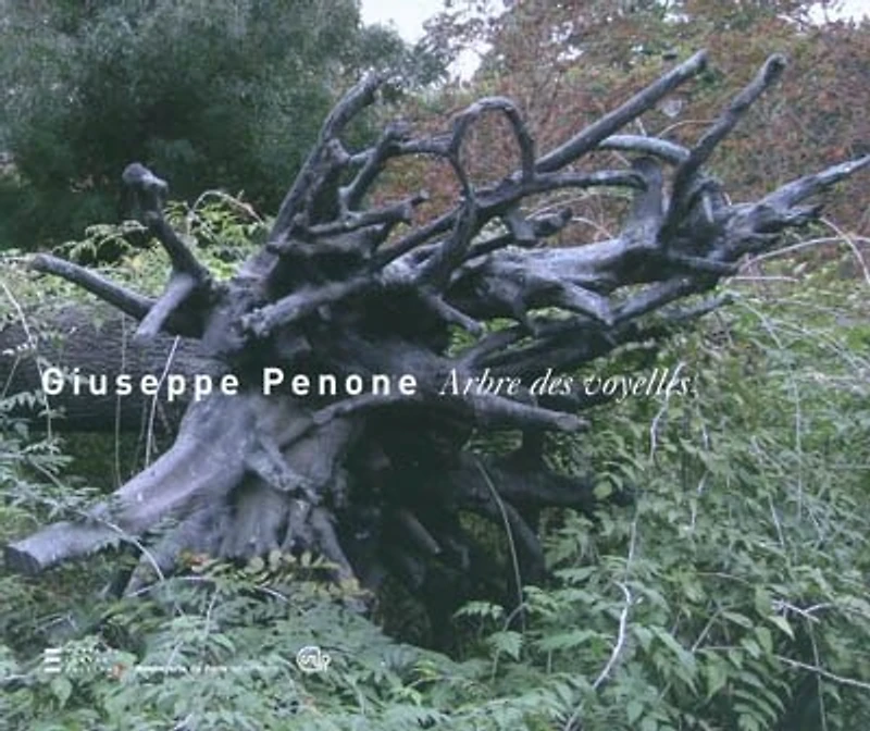 Giuseppe Penone, Arbre des voyelles