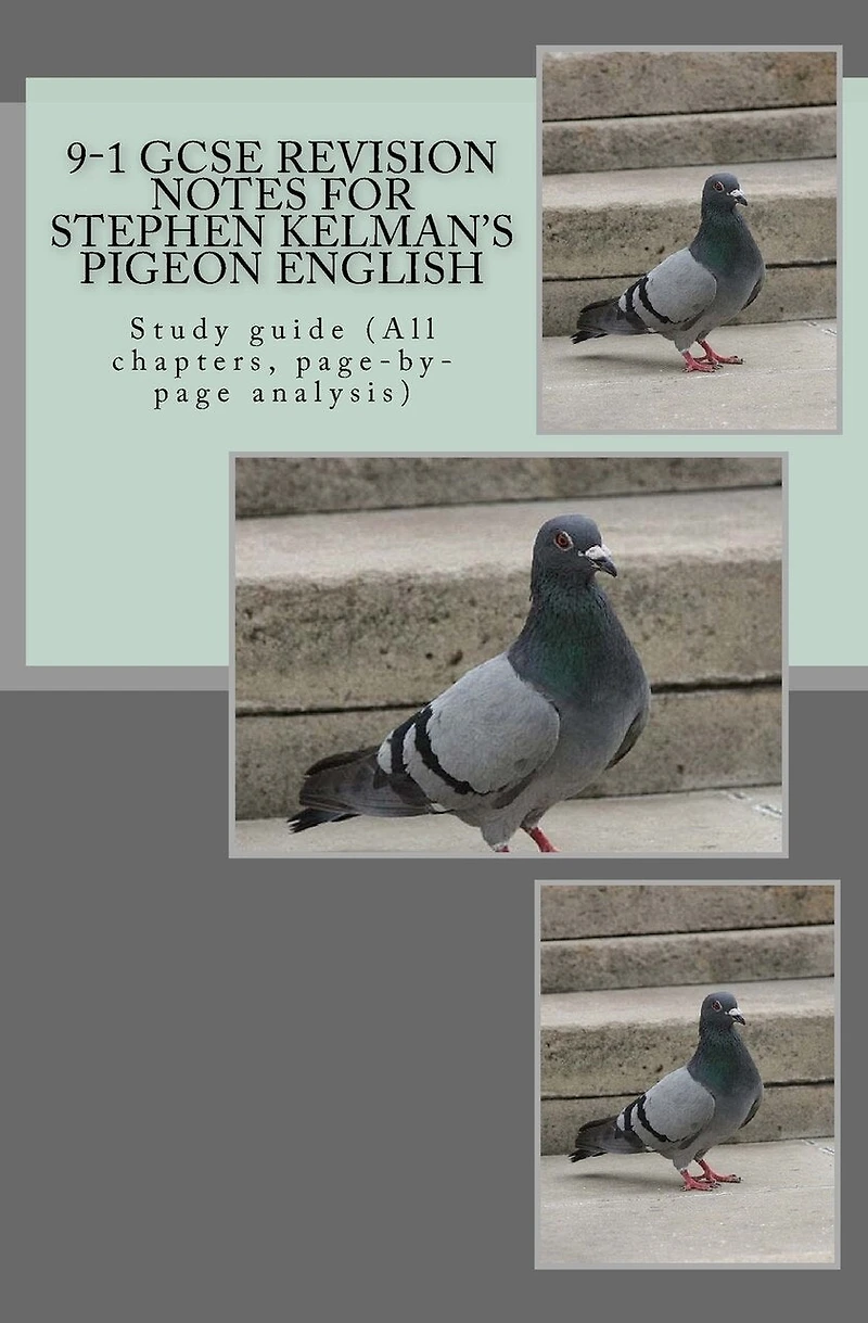 9-1 GCSE REVISION NOTES for STEPHEN KELMAN'S PIGEON ENGLISH: Study guide (All chapters, page-by-page analysis)