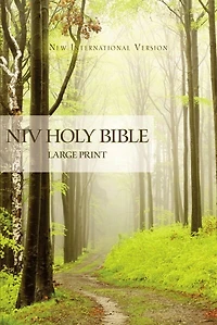 Niv, Holy Bible, Larger Print, Paperback