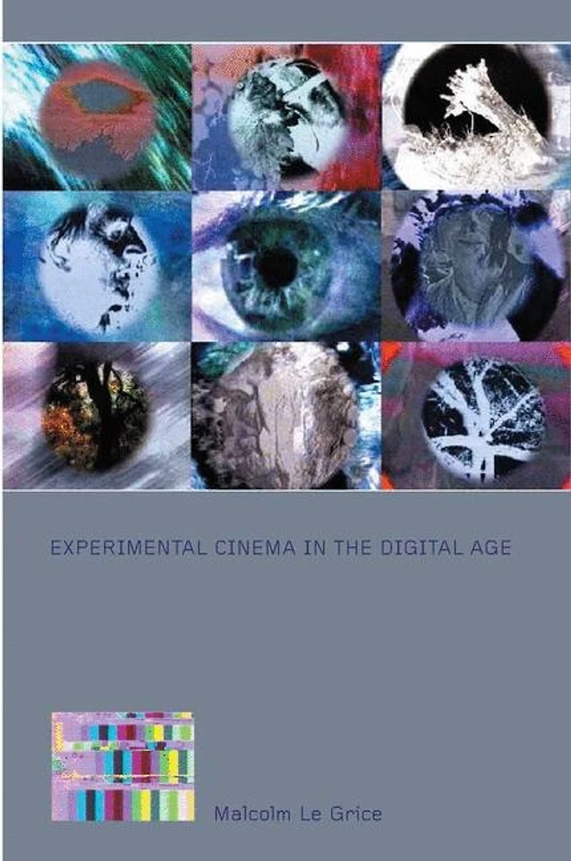 Experimental Cinema the Digital Age