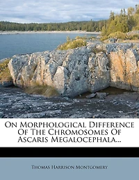 On Morphological Difference Of The Chromosomes Ascaris Megalocephala