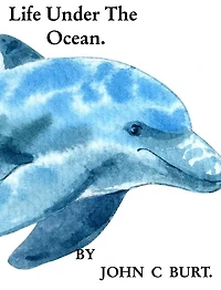 Life Under The Ocean.