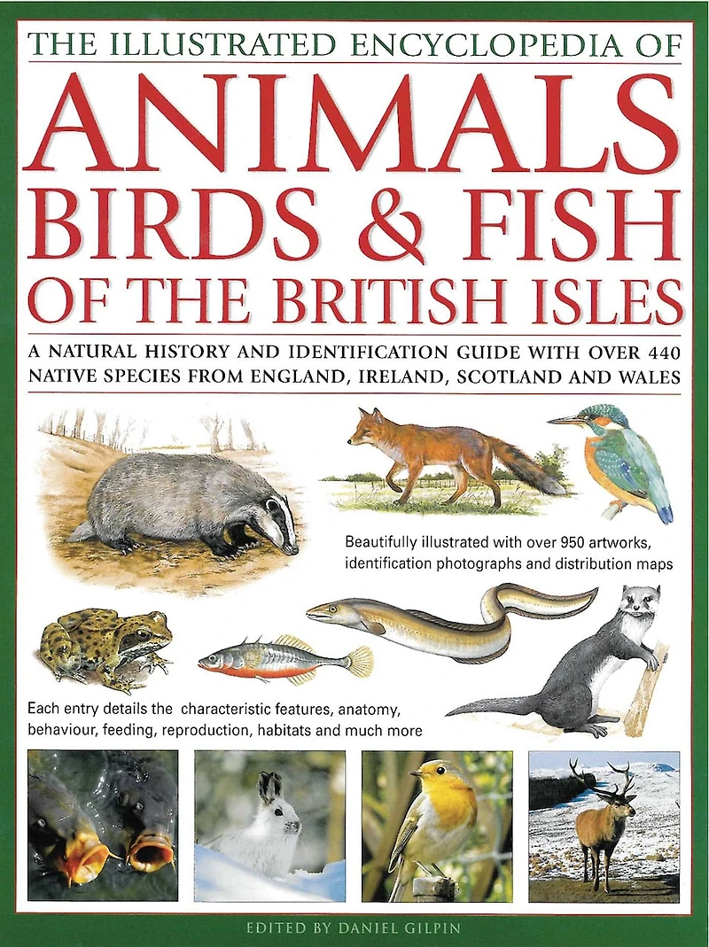 Illustrated Encyclopedia of Animals, Birds & Fish of British Isles: A natural history and identification guide with over 440 native species from England, Ireland, Scotland and Wales