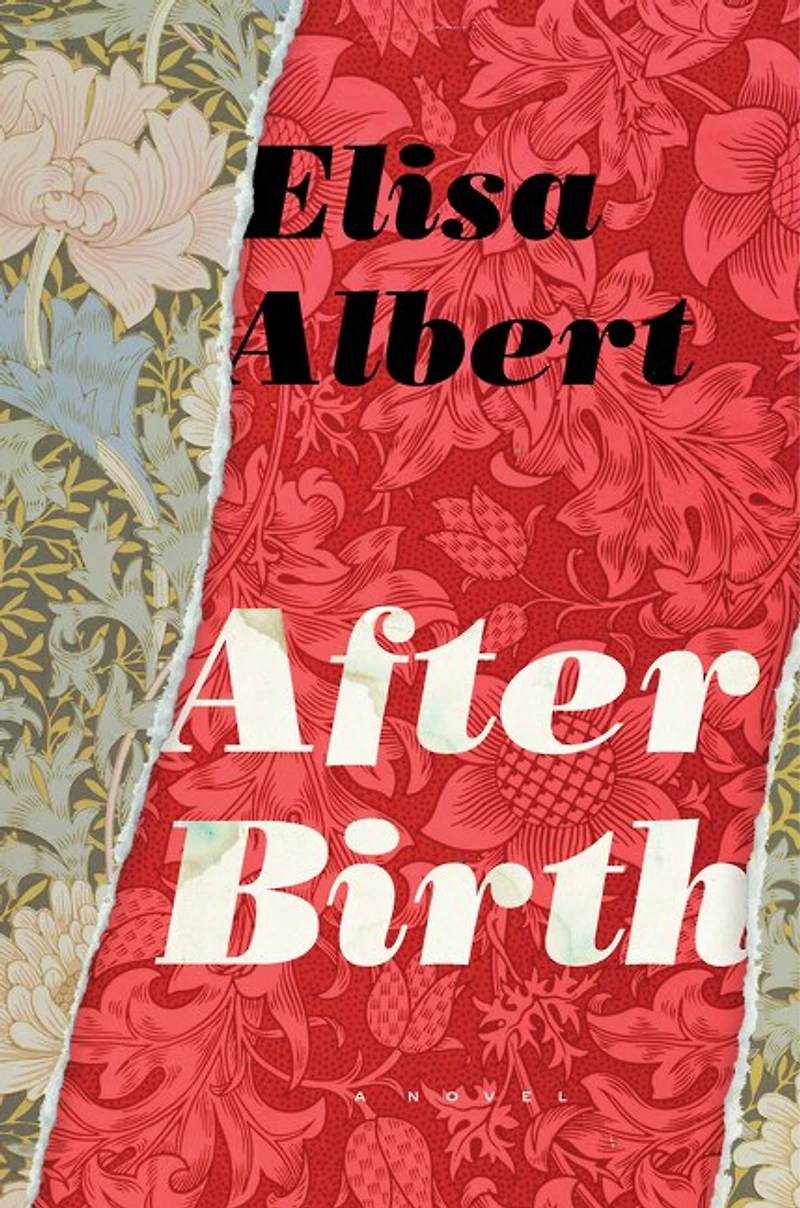 After Birth: A Novel