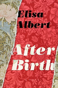 After Birth: A Novel
