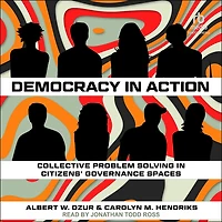 Democracy Action: Collective Problem Solving Citizens' Governance Spaces