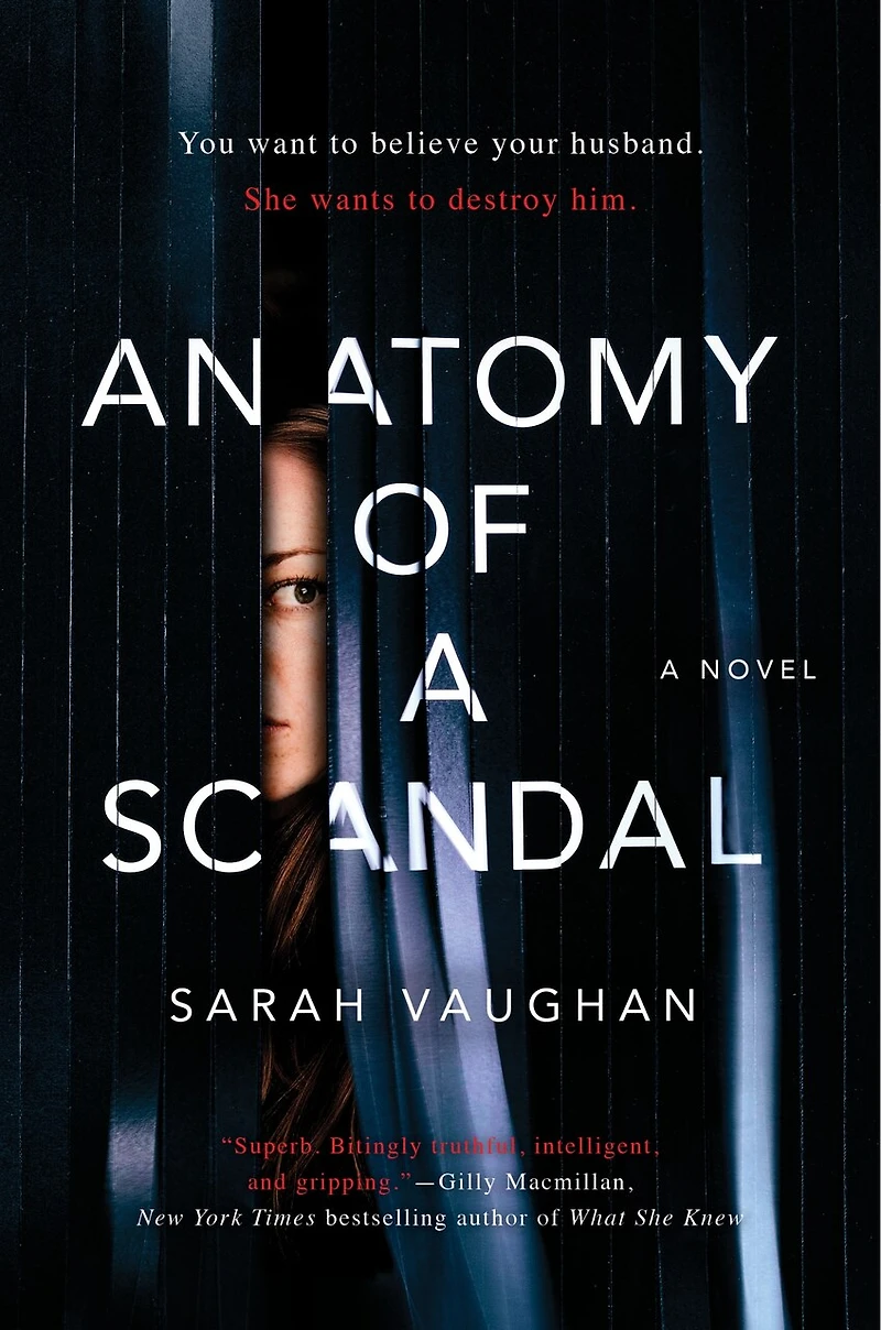 Anatomy Of A Scandal: (Large Print)