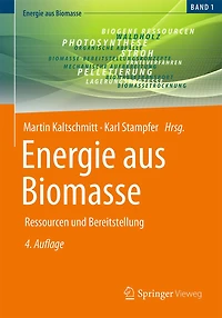 Energie Aus Biomasse: Ressourcen Und Bereitstellung