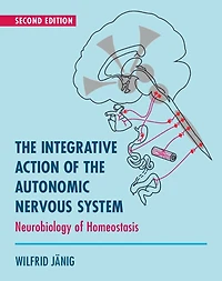 the Integrative Action of Autonomic Nervous System: Neurobiology Homeostasis