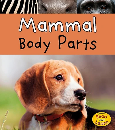 Mammal Body Parts