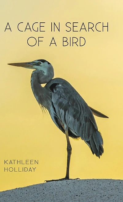 A Cage in Search of a Bird