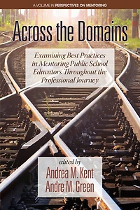 Across the Domains: Examining Best Practices Mentoring Public School Educators throughout Professional Journey