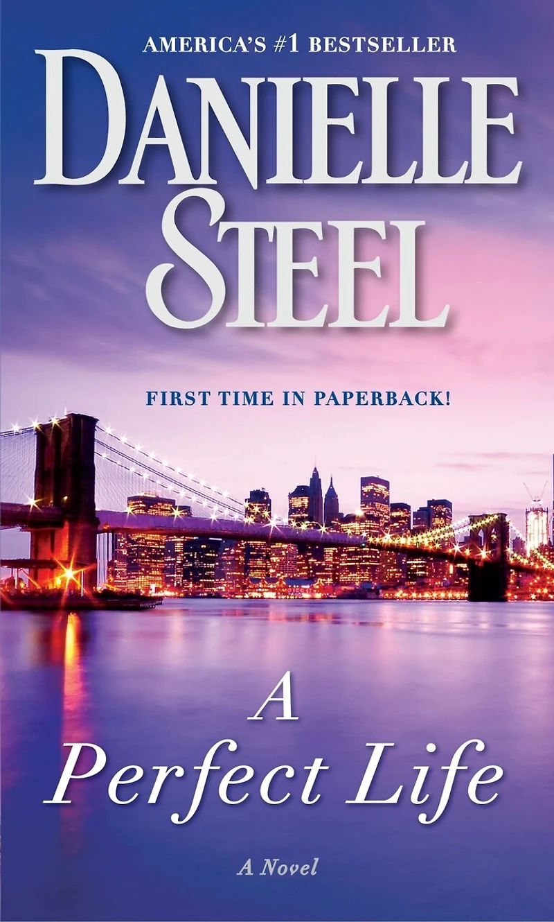A Perfect Life: Novel