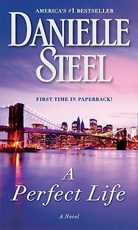 A Perfect Life: Novel
