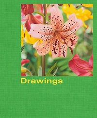 Mathew Cerletty: Drawings