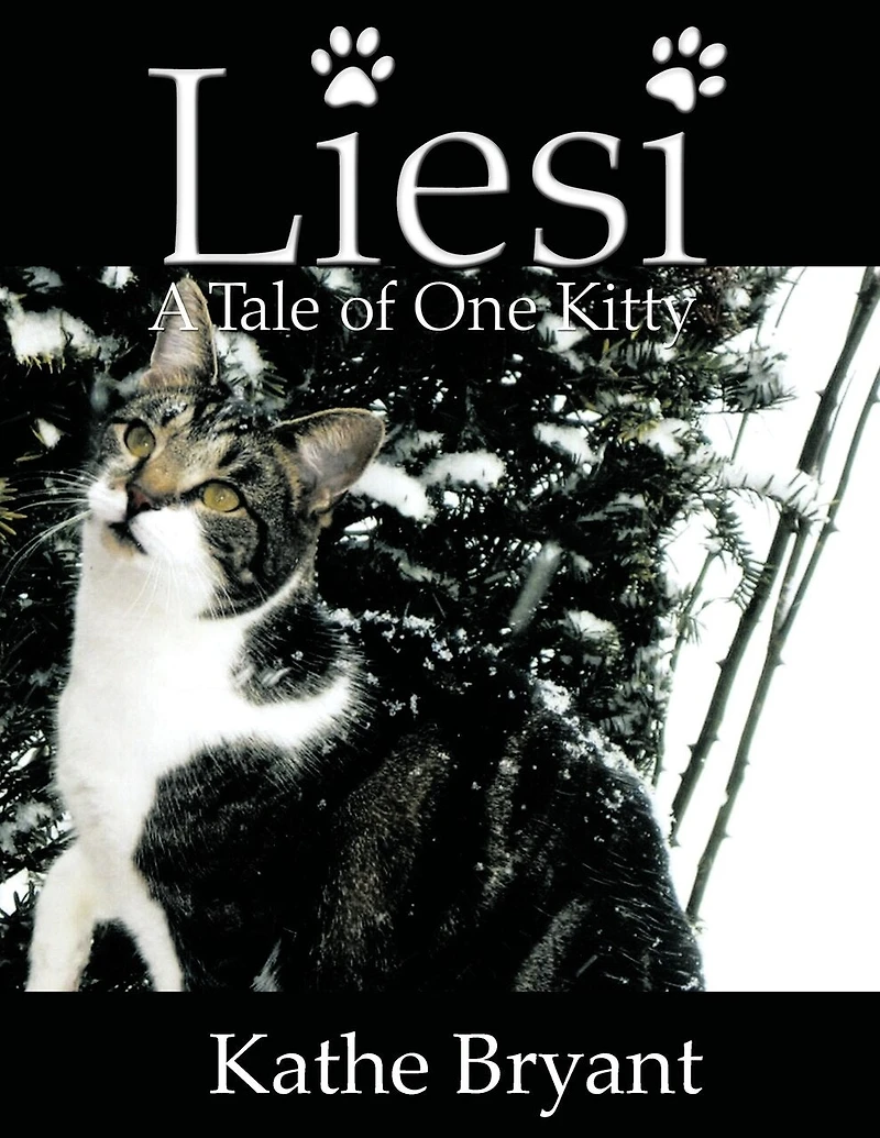 Liesi: Tale Of One Kitty