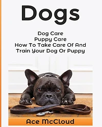 Dogs: Dog Care: Puppy How To Take Care Of And Train Your Or