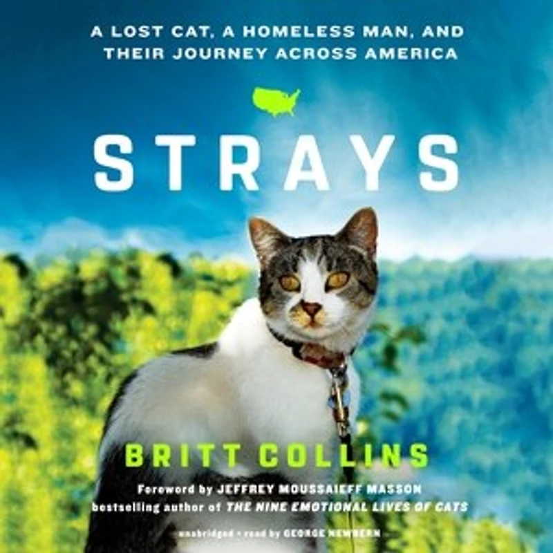 Strays: a Lost Cat, Homeless Man, and Their Journey across America