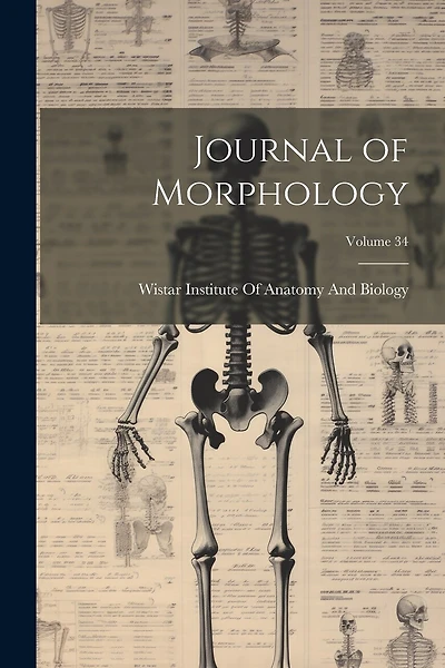 Journal of Morphology; Volume 34