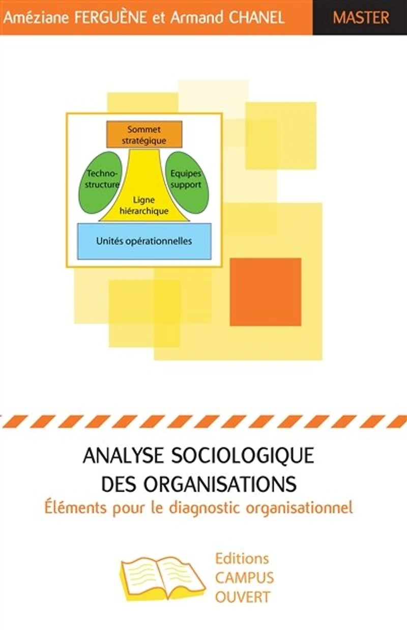 Analyse sociologique des organisations: Elements pour le diagnostic organisationnel