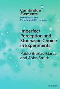 Imperfect Perception and Stochastic Choice Experiments
