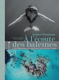 A l'écoute des baleines: aux Bermudes, en compagnie des baleines à bosse