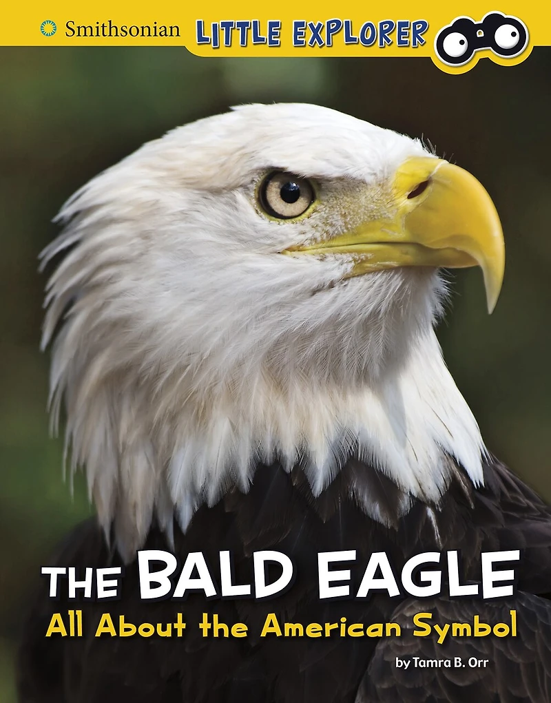 The Bald Eagle: All About The American Symbol
