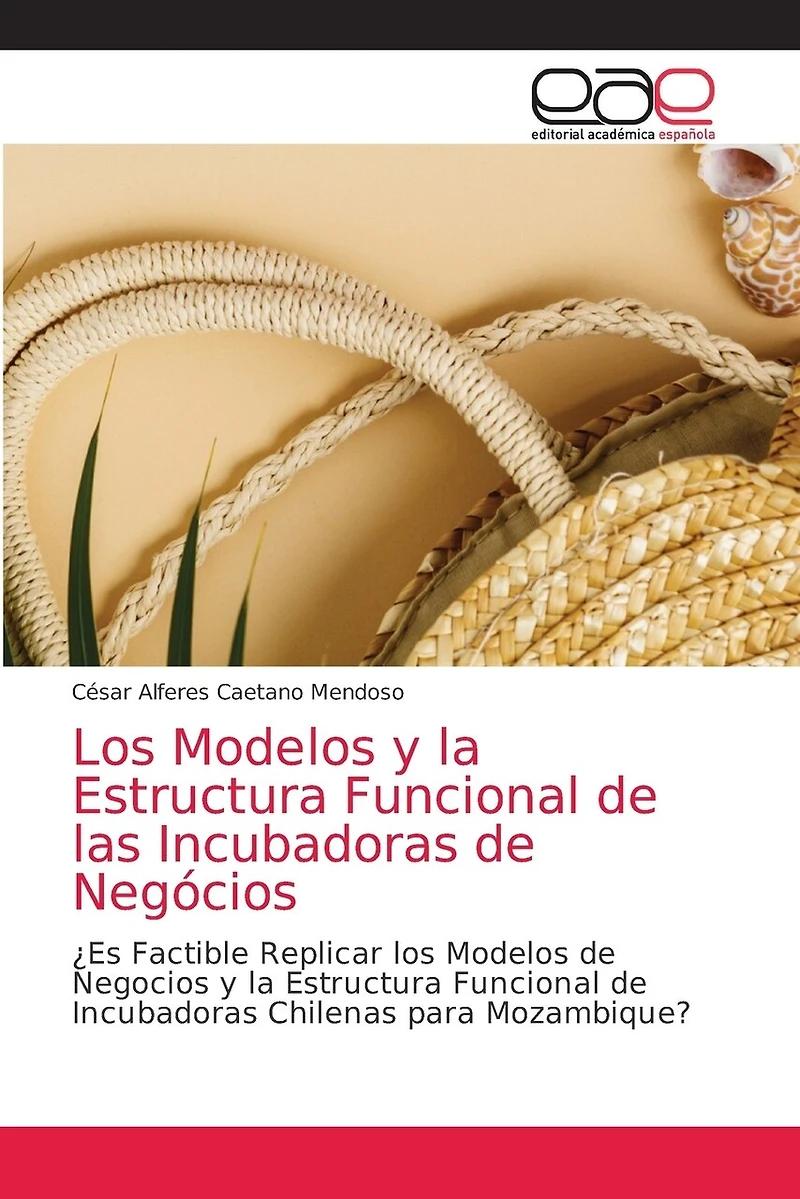 Los Modelos y la Estructura Funcional de las Incubadoras de Negócios
