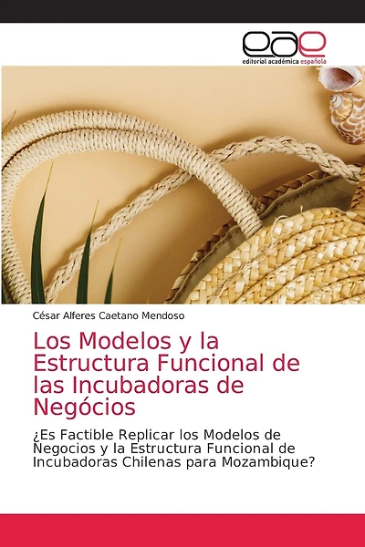 Los Modelos y la Estructura Funcional de las Incubadoras de Negócios