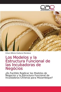 Los Modelos y la Estructura Funcional de las Incubadoras de Negócios