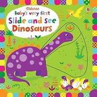 BABYS VERY FIRST SLIDE AND SEE DINOSAURS BB