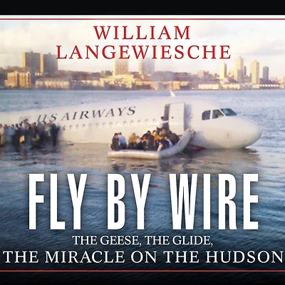 Fly by Wire: the Geese, Glide, Miracle on Hudson