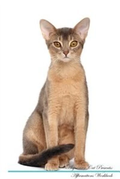 Abyssinian Cat Affirmations Workbook Abyssinian Cat Presents: Positive and Loving Affirmations Workbook. Includes: Mentoring Questions, Guidance, Supporting You.