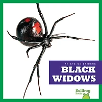 Black Widows