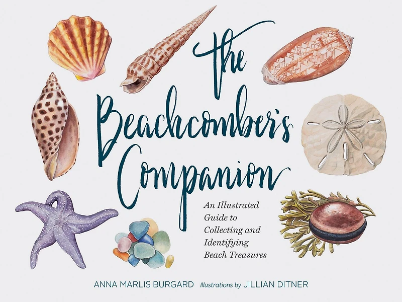 The Beachcomber's Companion: An Illustrated Guide to Collecting and Identifying Beach Treasures (Watercolor Seashell Shell Book, Lover Gift)
