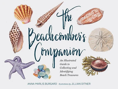 The Beachcomber's Companion: An Illustrated Guide to Collecting and Identifying Beach Treasures (Watercolor Seashell Shell Book, Lover Gift)