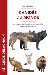 Canidés du monde: loups, chiens sauvages, renards, chacals, coyotes, et apparentés