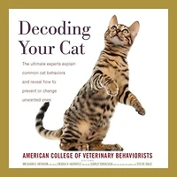 Decoding Your Cat: The Ultimate Experts Explain Common Cat Behaviors and Reveal How to Prevent or Change Unwanted Ones