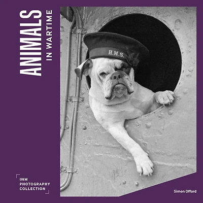 Animals in Wartime: IWM Photography Collection