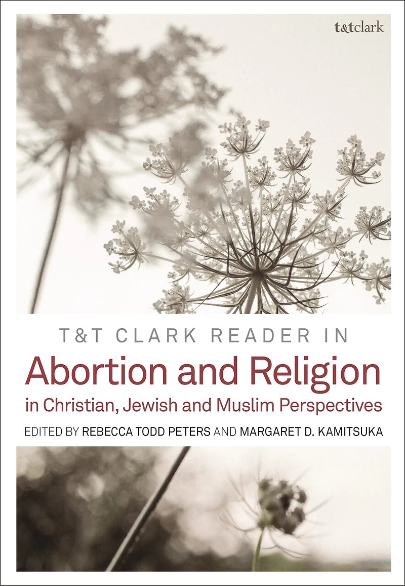 T and Clark Reader Abortion Religion: Jewish, Christian, Muslim Perspectives