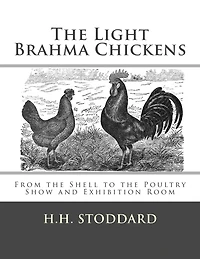 The Light Brahma Chickens (The Light Brahma Fowls): From the Shell to the Poultry Show and Exhibition Room