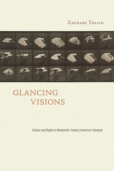 Glancing Visions: Surface and Depth Nineteenth-Century American Literature