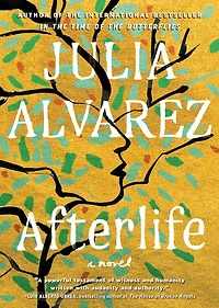 Afterlife