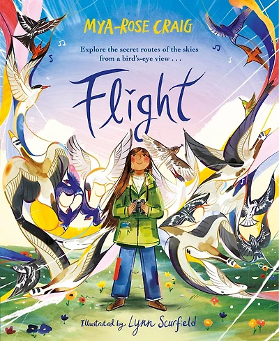 Flight: Explore the secret routes of the skies from a bird's-eye view