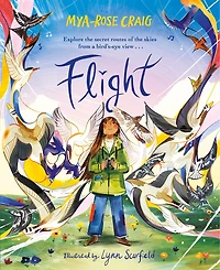 Flight: Explore the secret routes of the skies from a bird's-eye view