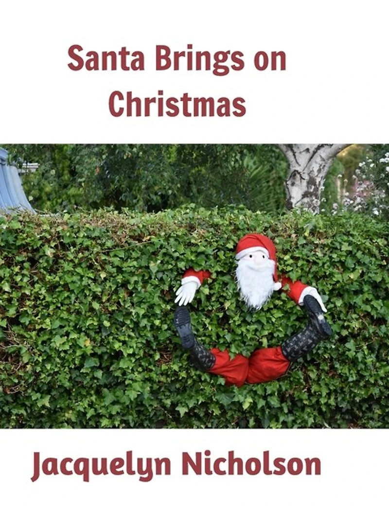 Santa Brings On Christmas